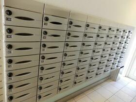 15/16 その他画像