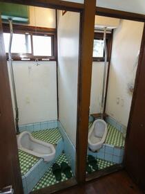 11/11 その他画像