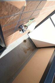 14/16 その他画像