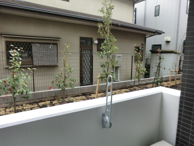 20/30 その他画像