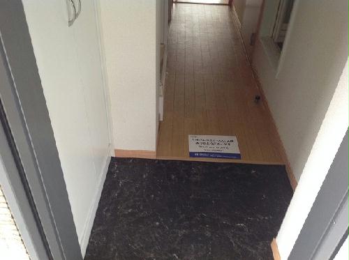 11/20 その他画像