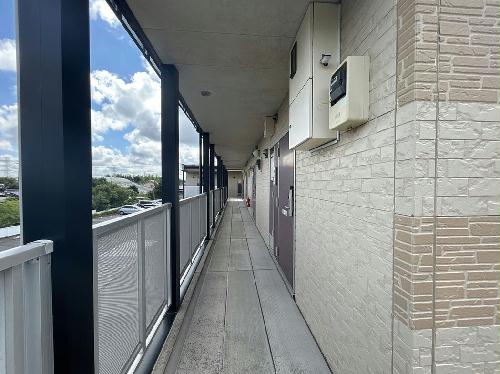 11/14 その他画像