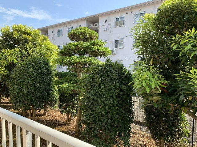 20/23 その他画像