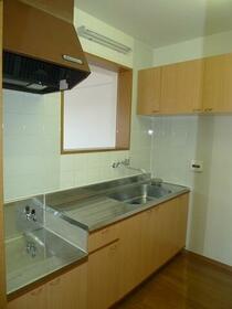 5/16 その他画像