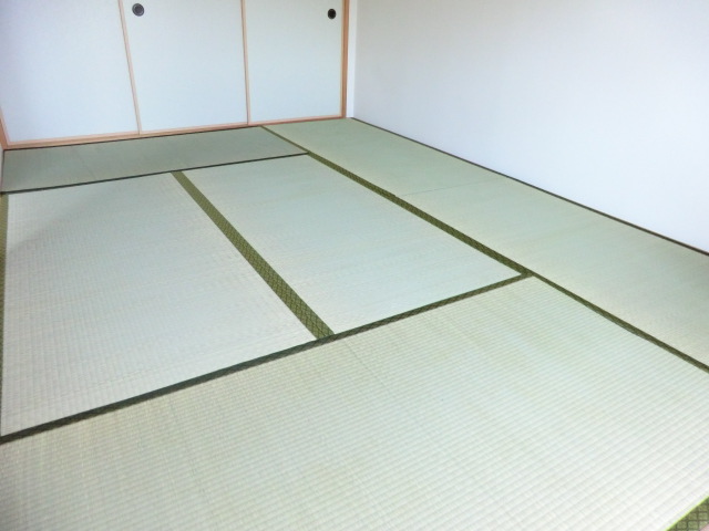 20/28 その他画像