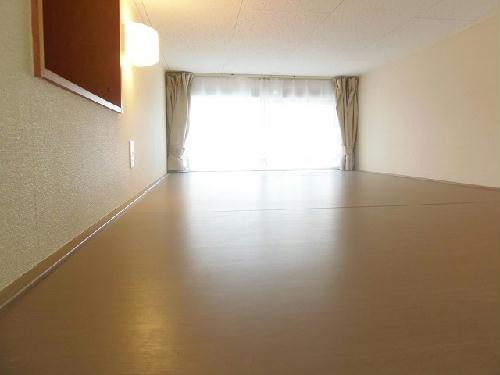 8/11 その他画像