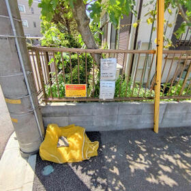 11/11 その他画像