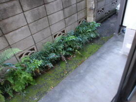 16/16 その他画像