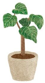 16/16 その他画像