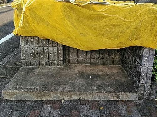 10/18 その他画像