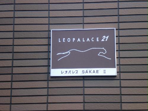 13/18 その他画像