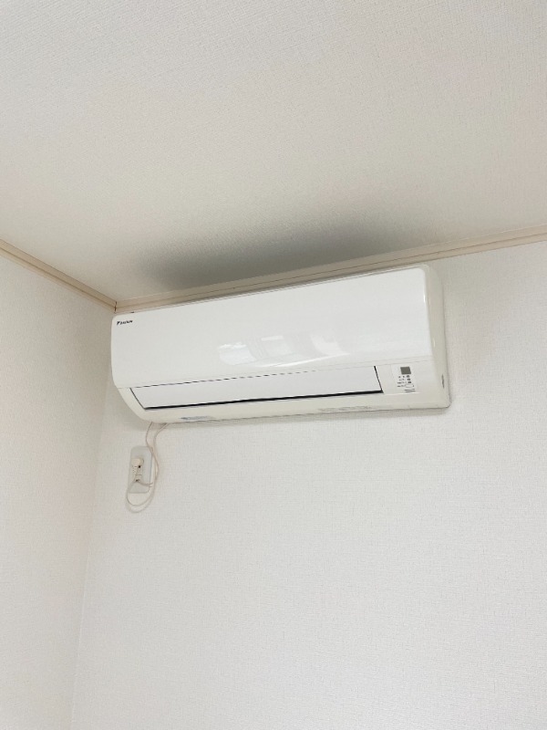 6/11 その他画像