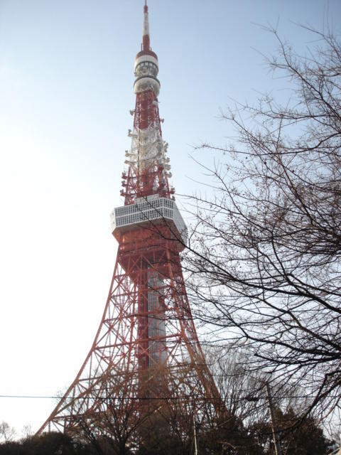 8/30 その他画像