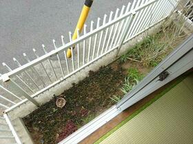 12/16 その他画像