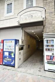 5/16 その他画像