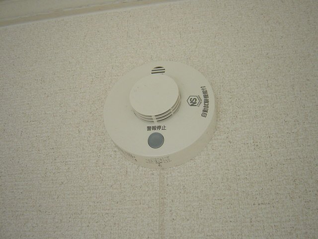 21/29 その他画像