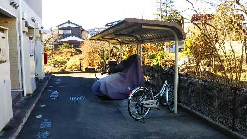 12/17 その他画像