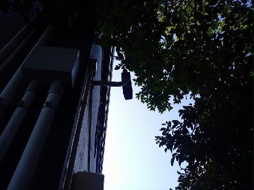 11/21 その他画像