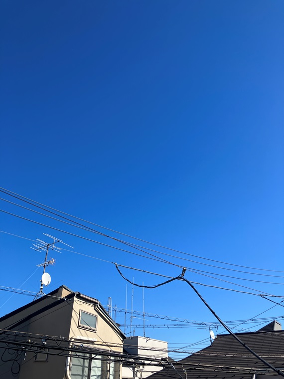 15/19 その他画像