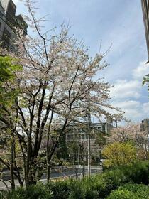 15/16 その他画像