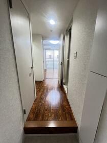 11/11 その他画像