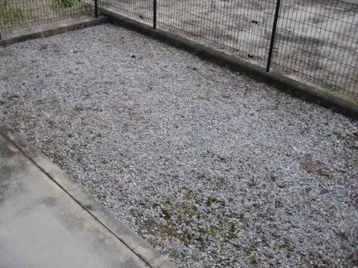 17/20 その他画像