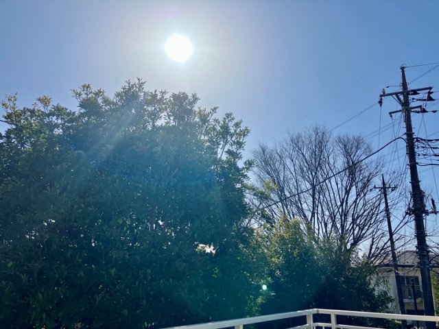 16/20 その他画像