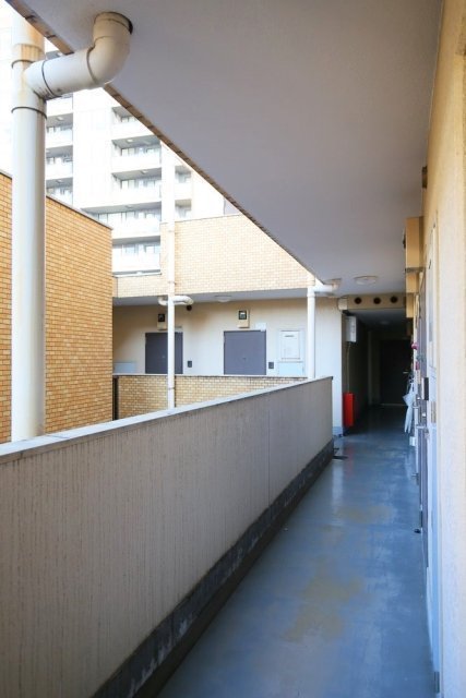 5/17 その他画像