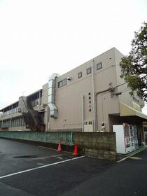 3/16 その他画像