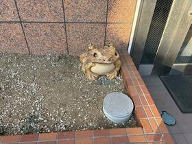 4/16 その他画像