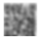 7/16 その他画像