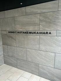 12/13 その他画像