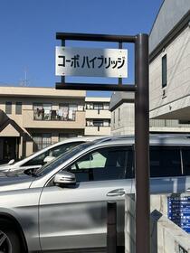 5/16 その他画像