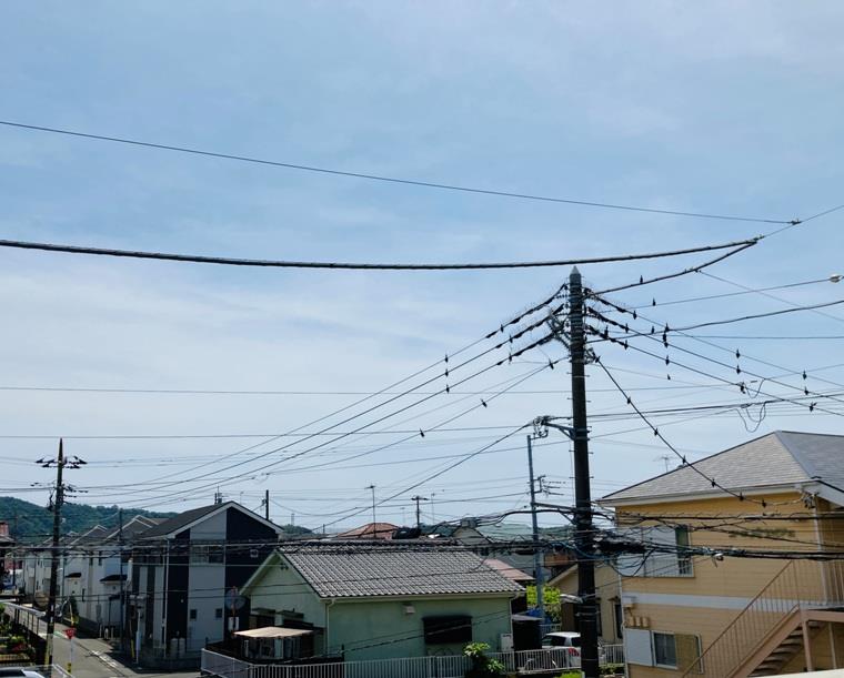 16/19 その他画像