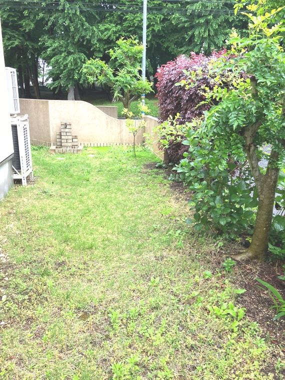 15/18 その他画像