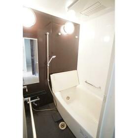 11/16 その他画像