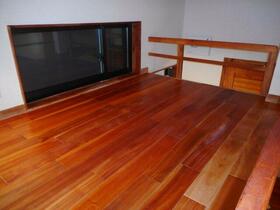 15/16 その他画像