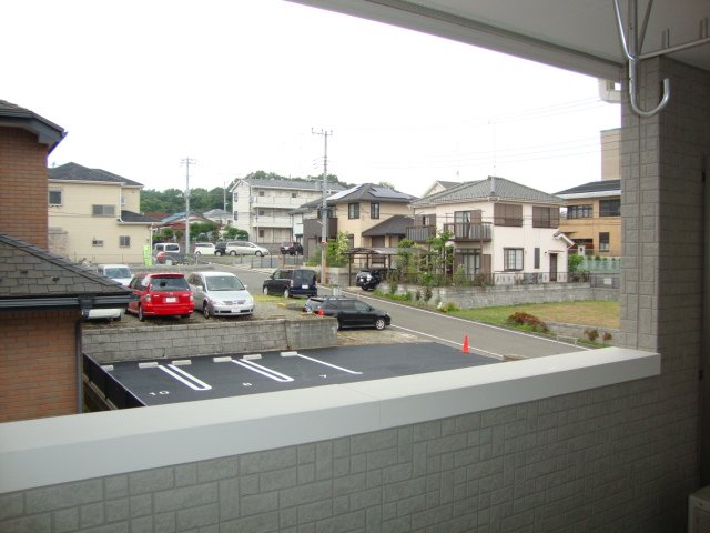 20/30 その他画像