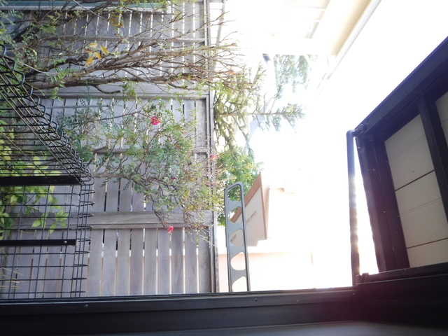 15/16 その他画像