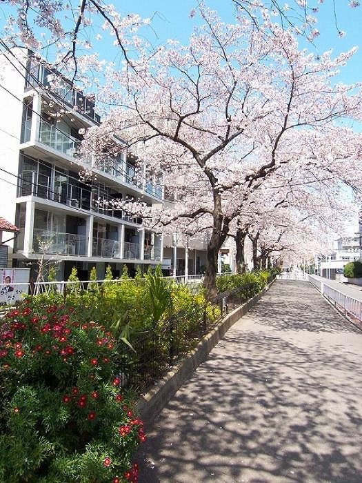 11/17 その他画像