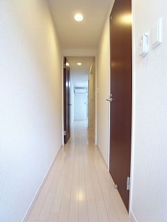 11/14 その他画像