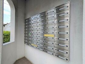 13/16 その他画像