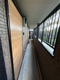 13/13 その他画像