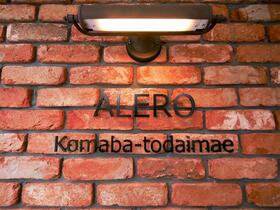 13/16 その他画像