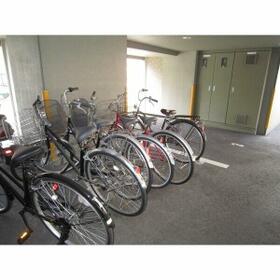 11/11 その他画像