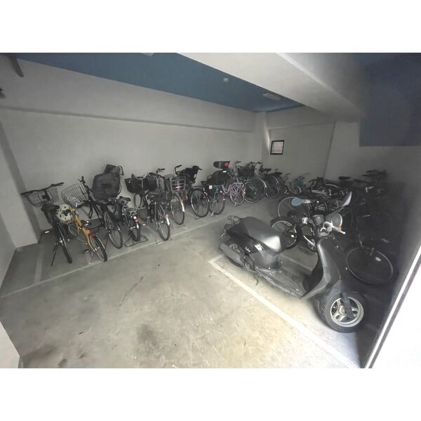 6/11 その他画像