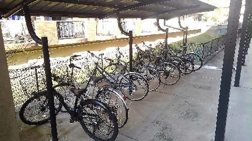 8/14 その他画像