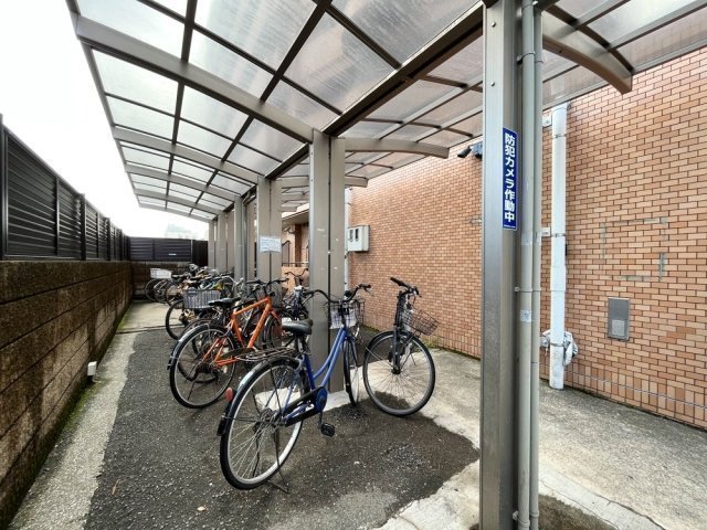 5/15 その他画像