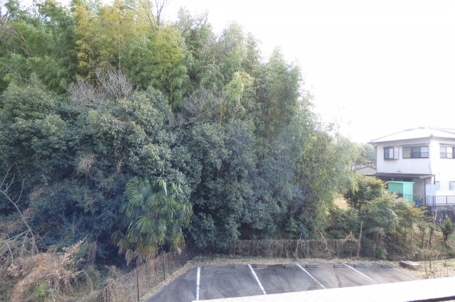 18/24 その他画像