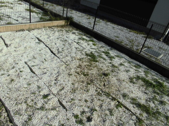 16/20 その他画像